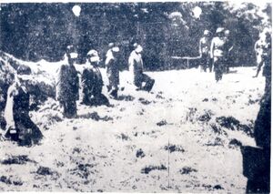 Zdjęcia archiwalne z egzekucji w miejscowości Olsztyn, wykonane z ukrycia