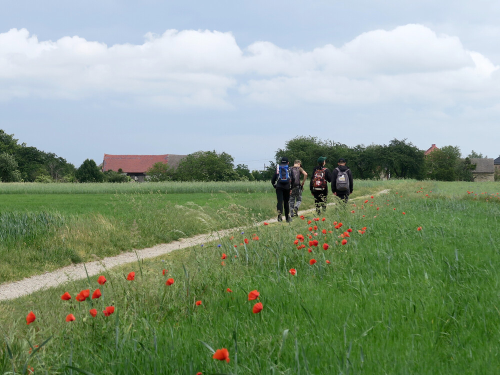 XXIII Rajd Turystyczno-Historyczny „Śladami III Powstania Śląskiego” - Góra Św. Anny, 22 do 24 maja 2024. Fot.: IPN