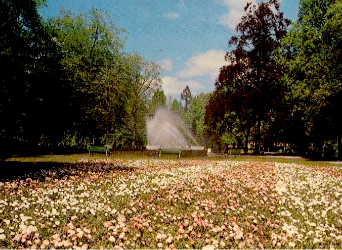 29 – Koszalin, Park Przyjaźni Polsko-Radzieckiej (obecnie Książąt Pomorskich), 1982 r. (fot. W. Echeński, wyd. Krajowa Agencja Wydawnicza; IPN Ka 043/1284)