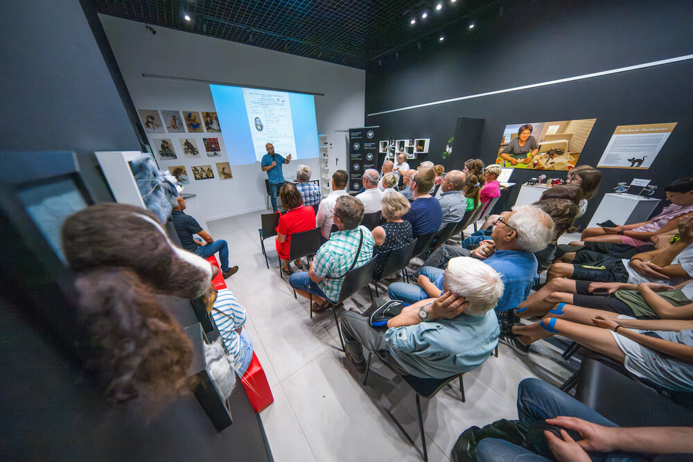 Prelekcja dr. Tomasza Kurpierza „Henryk Sławik 1894-1944. Górnośląski Sprawiedliwy wśród Narodów Świata” – 7. edycja Przystanku Muzeum w Galerii Historii Miasta – Jastrzębie-Zdrój, 16 lipca 2024. Fot.: IPN K. Łojko