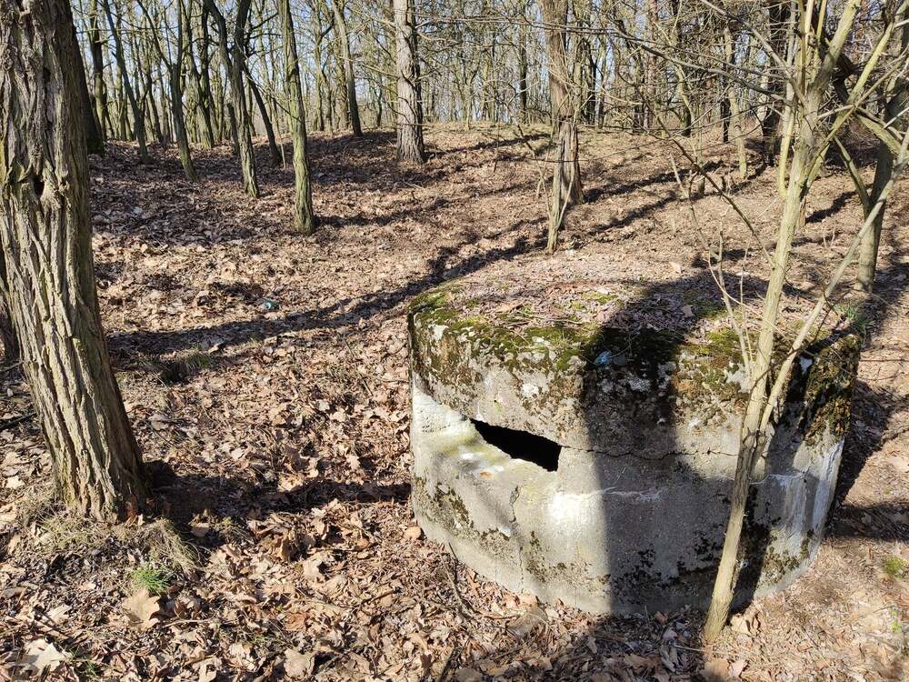 Wycieczka rowerowa z cyklu „Rowerowe Piątki” z Grupą Rowerową „Niepokonani Jaworzno” – Jaworzno, 26 lipca 2024