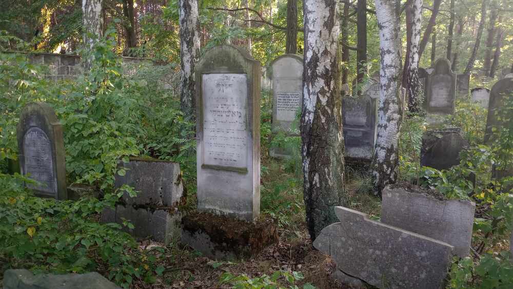 Wycieczka rowerowa z cyklu „Rowerowe Piątki” z Grupą Rowerową „Niepokonani Jaworzno” – Jaworzno, 26 lipca 2024