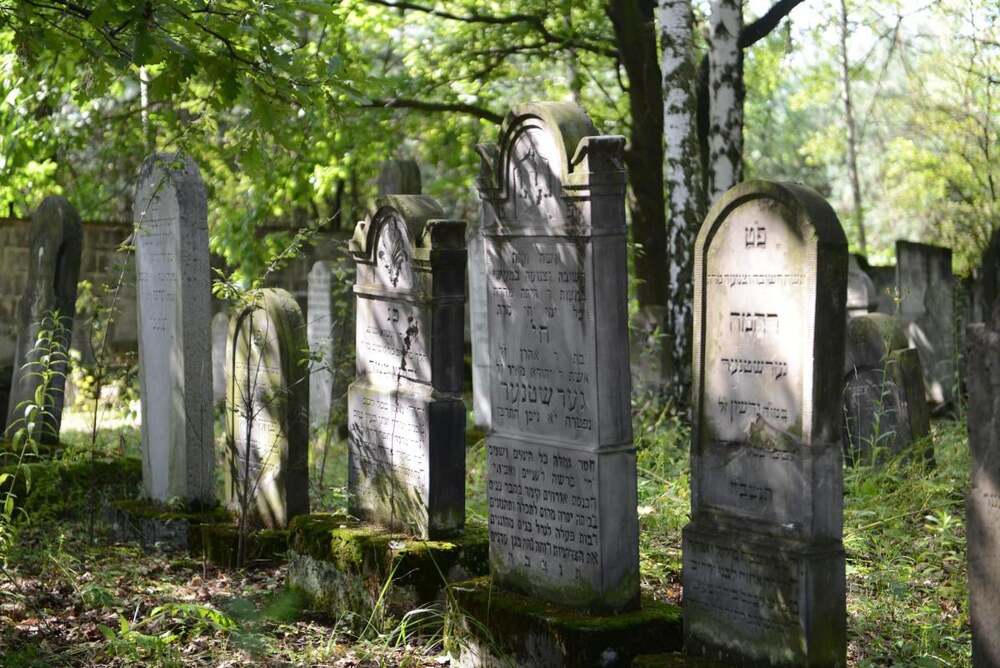 Wycieczka rowerowa z cyklu „Rowerowe Piątki” z Grupą Rowerową „Niepokonani Jaworzno” – Jaworzno, 26 lipca 2024