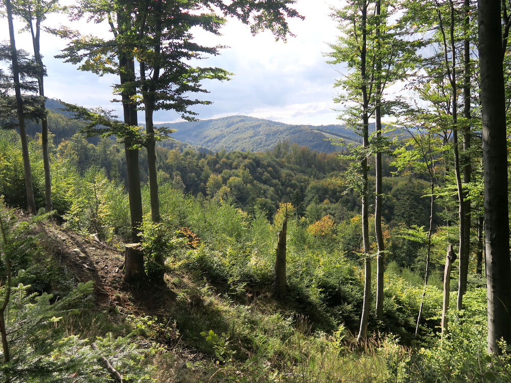 XXIV rajd historyczno-turystyczny Pamięci 1. Samodzielnej Brygady Spadochronowej w operacji „Market-Garden“. Fot.: IPN