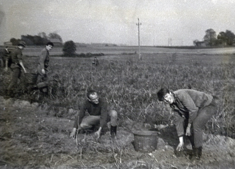 Wykopki, Mikołów lub Śmiłowice, jesień 1983 r.