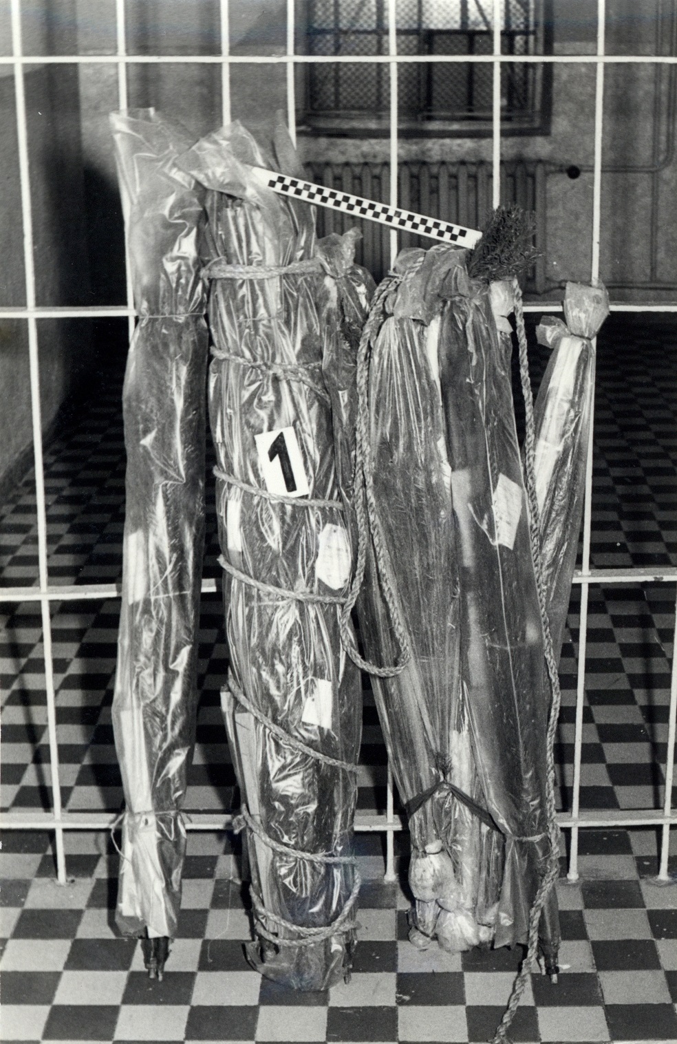 Zarekwirowane choinki (IPN Ka 034/277)