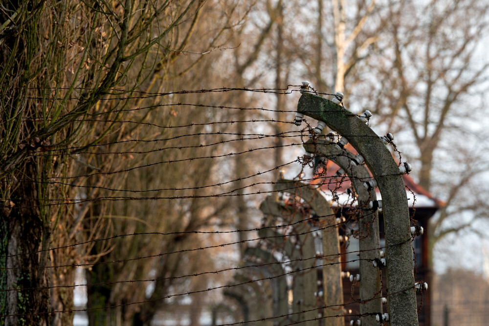 VI Bieg Pamięci ze Światłem Pokoju – Oświęcim – Gliwice, 17 stycznia 2025. Fot.: IPN K. Łojko