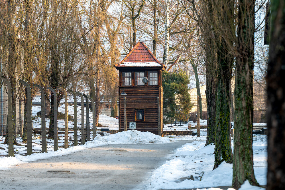 VI Bieg Pamięci ze Światłem Pokoju – Oświęcim – Gliwice, 17 stycznia 2025. Fot.: IPN K. Łojko