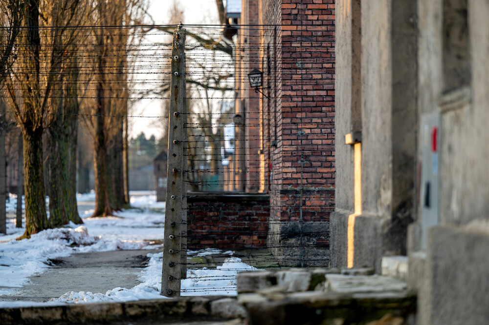 VI Bieg Pamięci ze Światłem Pokoju – Oświęcim – Gliwice, 17 stycznia 2025. Fot.: IPN K. Łojko