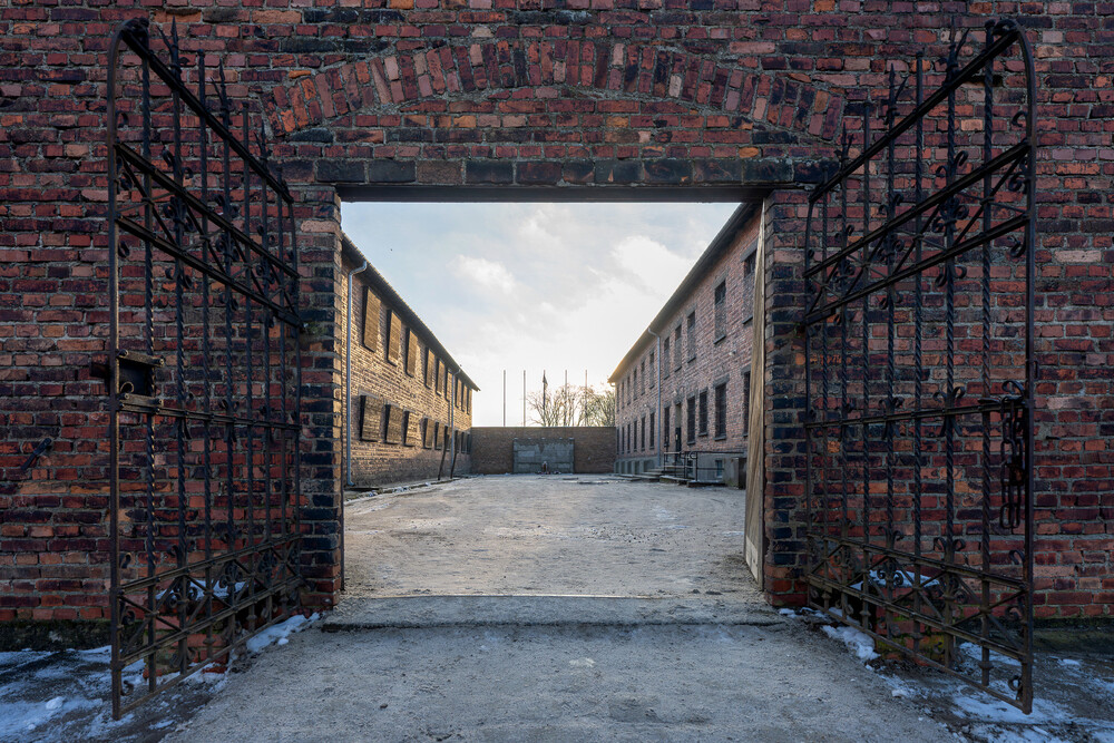 VI Bieg Pamięci ze Światłem Pokoju – Oświęcim – Gliwice, 17 stycznia 2025. Fot.: IPN K. Łojko