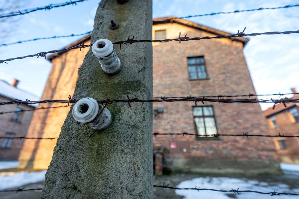 VI Bieg Pamięci ze Światłem Pokoju – Oświęcim – Gliwice, 17 stycznia 2025. Fot.: IPN K. Łojko