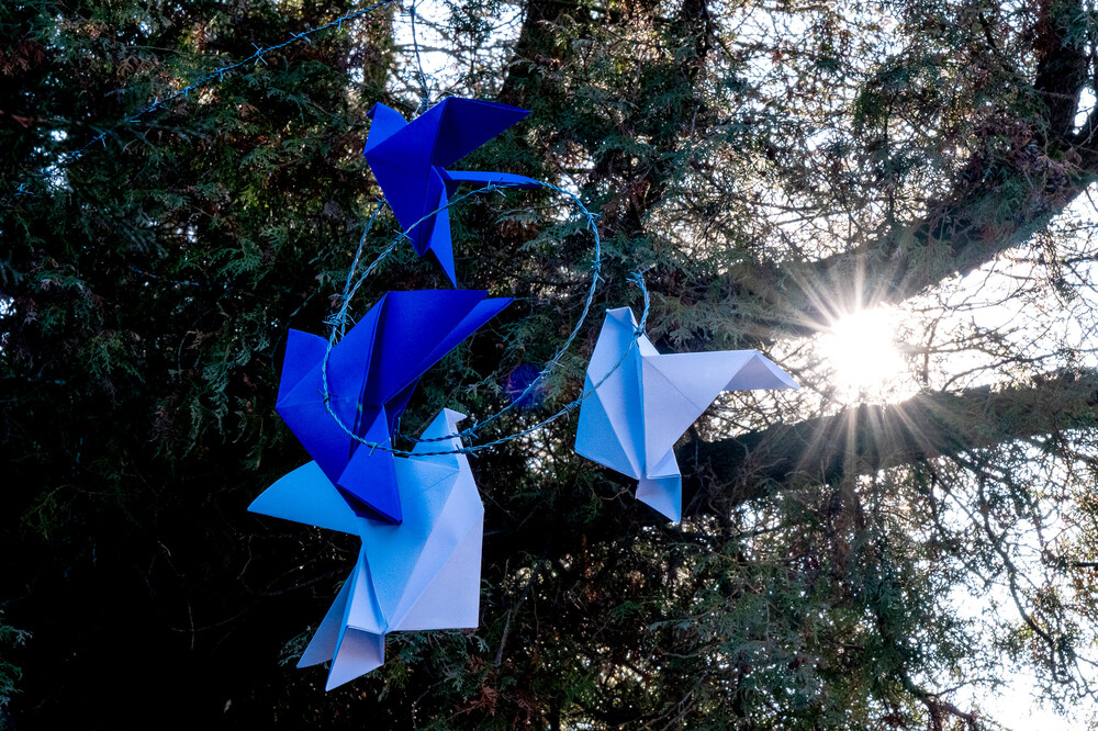 Upamiętnienie 80. rocznicy Marszu Śmierci – Gliwice-Bojków, 19 stycznia 2025. Fot.: IPN Krzysztof Łojko