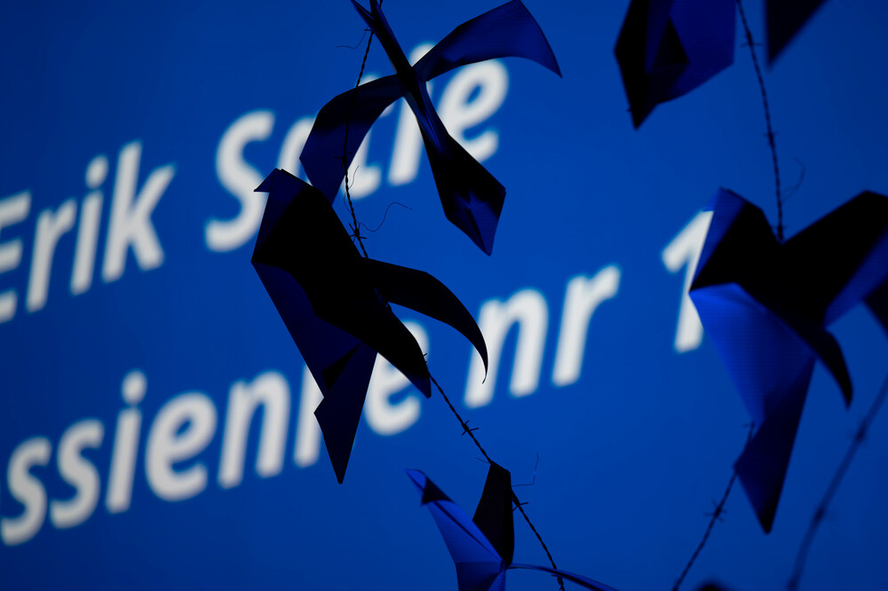 Upamiętnienie 80. rocznicy Marszu Śmierci – Gliwice-Bojków, 19 stycznia 2025. Fot.: IPN Krzysztof Łojko