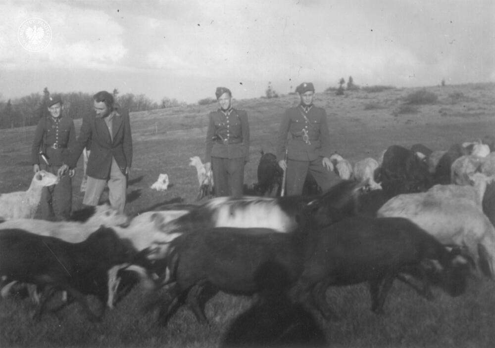 Żołnierze „Żandarmerii” Polskiej Podziemnej Armii Niepodległościowej, na łące, w nieustalonym miejscu. Stoją od lewej: Adolf Cecur „Lew”, Stanisław Pióro „Emir”, ks. Władysław Gurgacz „Sem”, Stanisław Szajna „Orzeł”, 1949 r. (autorem fotografii jest Tadeusz Ryba; IPN Kr 110/3411, t. 2)