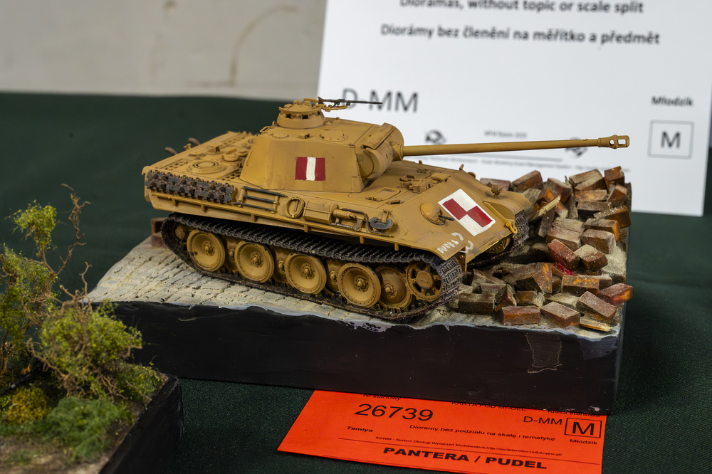 XX edycja Międzynarodowego Festiwalu Modelarskiego w Bytomiu, 15-16 marca 2025. Fot.: IPN Krzysztof Łojko