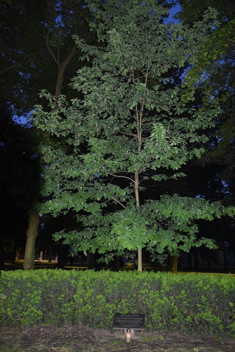 Znicze pamięci w 77. rocznicę śmierci rtm. Witolda Pileckiego w Chorzowie.