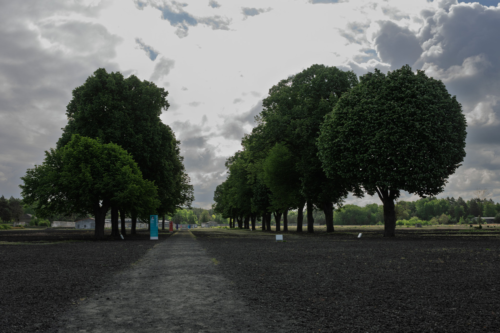 Wyjazd finalistów konkursu „W kręgu pamięci i prozy lagrowej więźniarek KL Ravensbrück” do Miejsca Pamięci i Przestrogi Ravensbrück, 23 – 26 maja 2025. Fot.: IPN Krzysztof Łojko