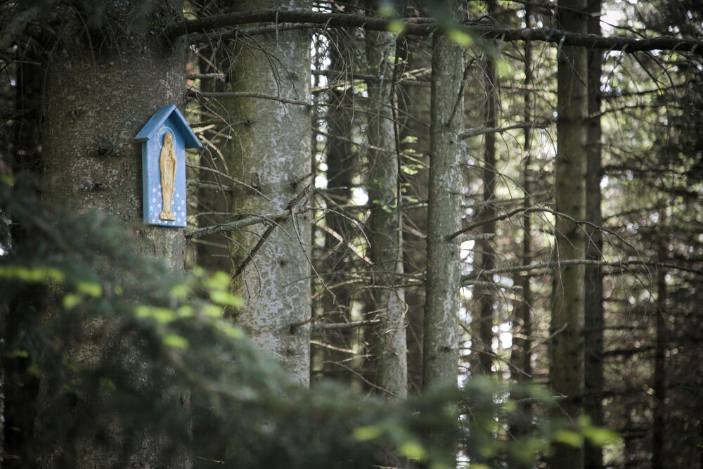 28-30 maja 2025 r. odbył się XXV Rajd Historyczno-Turystyczny „Pamięci 10. Brygady Kawalerii Pułkownika Stanisława Maczka”. Fot.: IPN Adam Kondracki