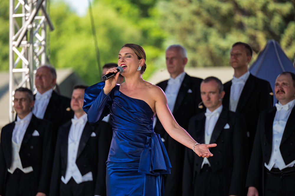 Obchody Narodowego Dnia Powstań Śląskich oraz Święta 13. Śląskiej Brygady Obrony Terytorialnej. Fot.: IPN Krzysztof Łojko