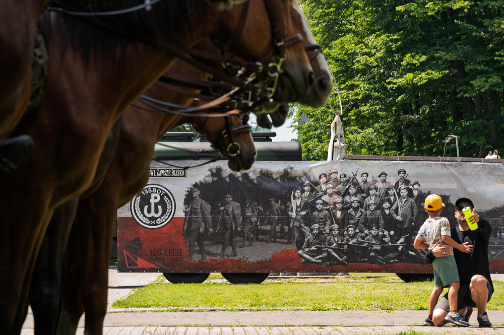 Obchody Narodowego Dnia Powstań Śląskich oraz Święta 13. Śląskiej Brygady Obrony Terytorialnej. Fot.: IPN Krzysztof Łojko