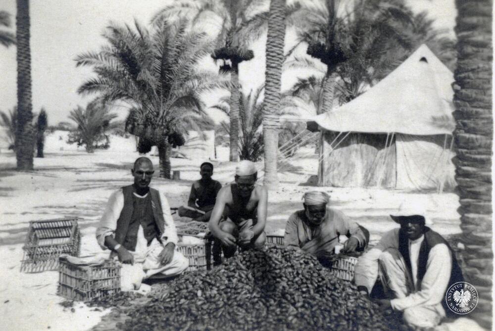 Zbiór daktyli, grudzień 1940 r. (IPN Ka 454/107, t. 1)