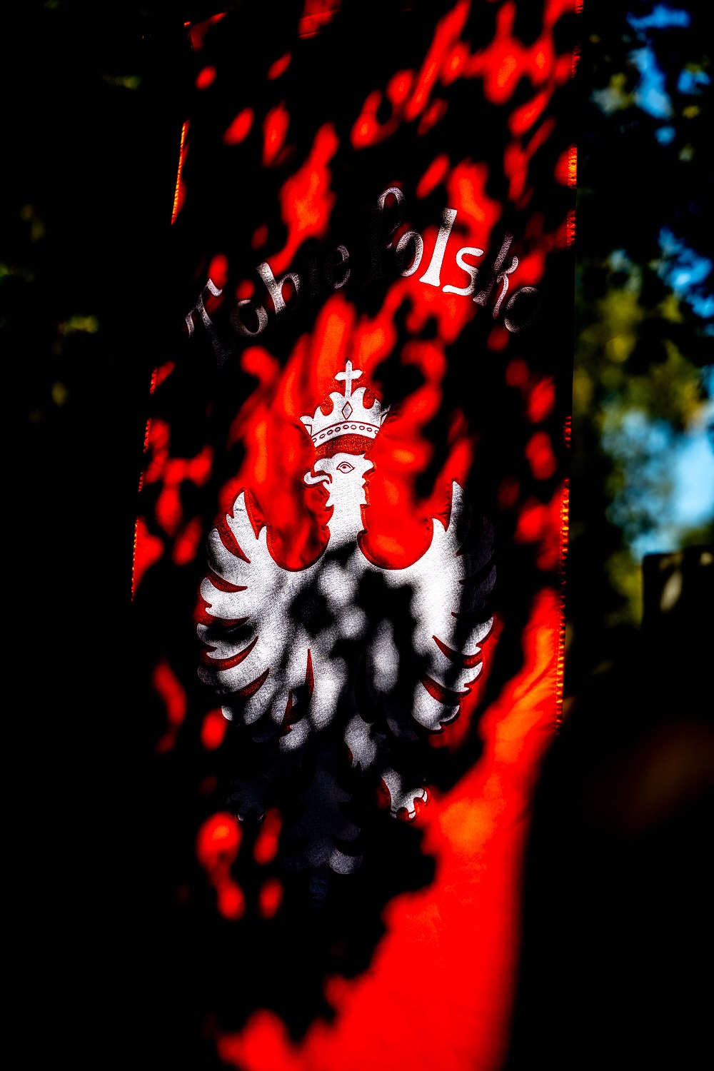 Uroczystość oznaczenia grobu powstańca śląskiego Edwarda Białeckiego znakiem pamięci „Tobie Polsko”. Fot. Łukasz Czechyra/IPN