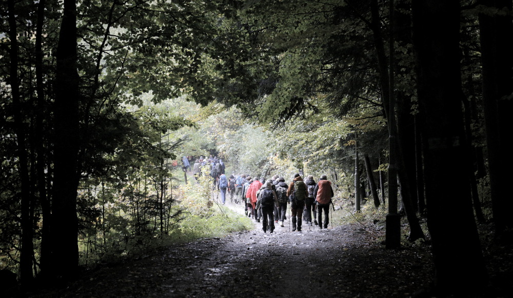 XXVI Rajd Historyczno-Turystyczny Szlakiem „Czarnej Brygady” pułkownika Stanisława Maczka Fot. Adam Kondracki/IPN