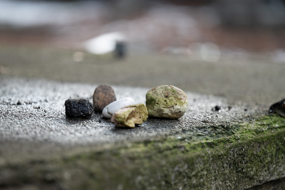 Międzynarodowy Dzień Pamięci o Ofiarach Holokaustu – Katowice, 27 stycznia 2026. Fot.: IPN Krzysztof Łojko