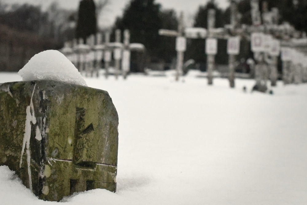 Wyjazd uczestników projektu IPN „Łączka i inne miejsca poszukiwań” do Warszawy. Fot. Adam Kondracki/IPN