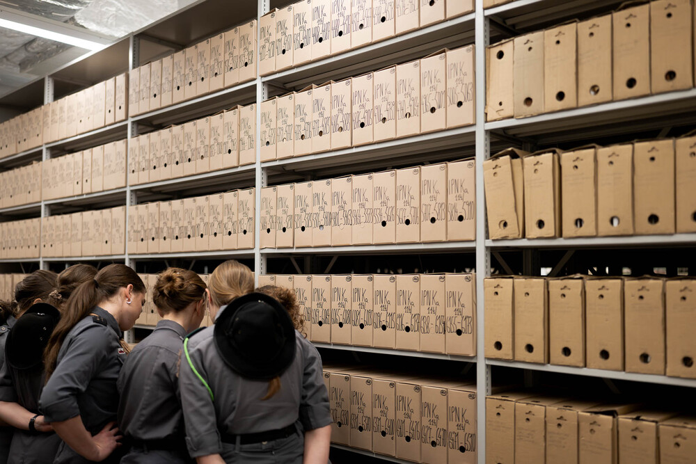 Zajęcia archiwalne dla harcerek z Hufca Harcerek ZHR na Podbeskidziu im. Zofii Kossak. Fot.: IPN Krzysztof Łojko