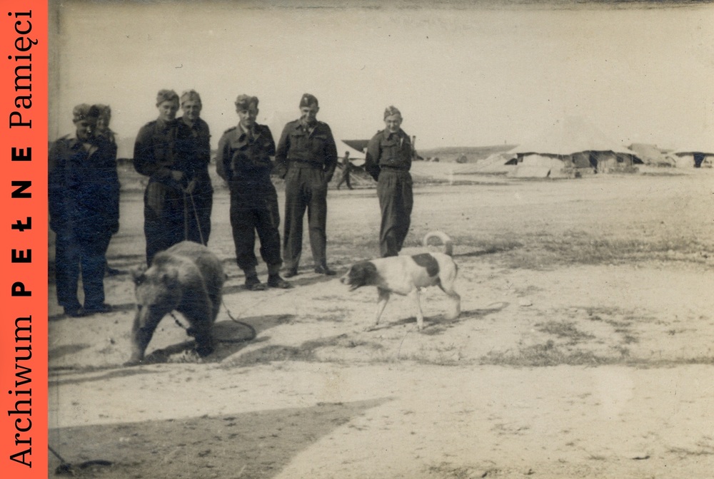 Żołnierze Brygady Strzelców Karpackich w towarzystwie Misia Wojtka oraz psa, Irak, sygn. IPN Ka 1077/17