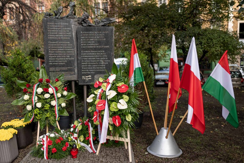 Obchody 70. rocznicy wybuchu Powstania Węgierskiego. Fot.: IPN Krzysztof Łojko