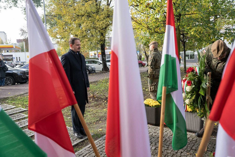 Obchody 70. rocznicy wybuchu Powstania Węgierskiego. Fot.: IPN Krzysztof Łojko
