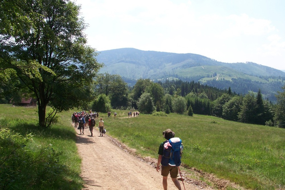 W drodze na Halę Boraczą (fot. Beata Czypionka)