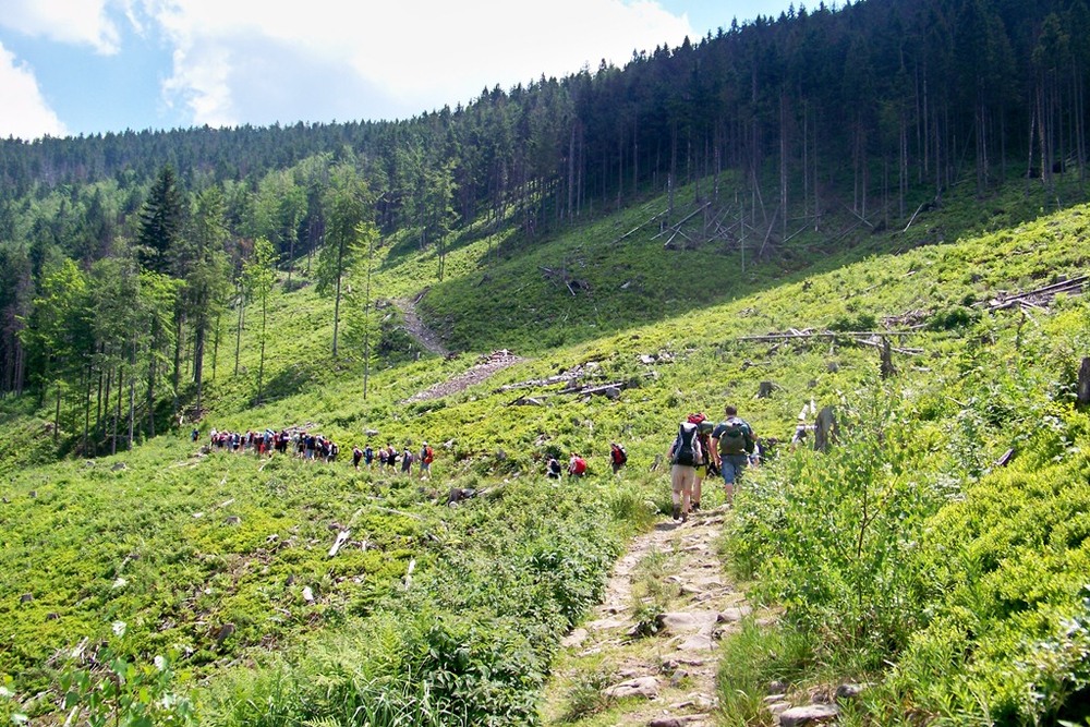 Podejście na Halę Lipowską (fot. Beata Czypionka)