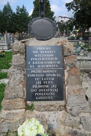 Pomnik z prochami ofiar terroru, wzniesiony dla uczczenia mieszkańców Żywca, którzy ponieśli śmierć w obozie KL Auschwitz w Oświęcimiu.