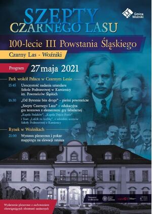 100-lecie III Powstania Śląskiego w Woźnikach.