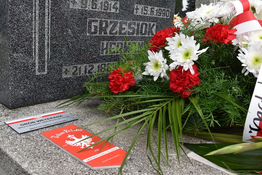 „Tobie Polsko” – hołd dla powstańca śląskiego plut. Hermana Grzesioka - fot. K. Łojko.