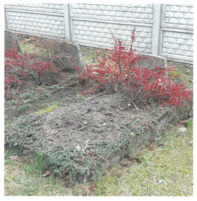 17 grobów żołnierzy Wojska Polskiego przed remontem.