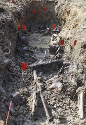 Szczątki żołnierzy Zgrupowania NSZ Henryka Flamego „Bartka”, pochowane w miejscu
egzekucji w pobliżu Starego Grodkowa, fot. Krzysztof Liszka
