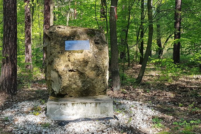 Obelisk upamiętniający oddział żołnierzy AK ppor. Wacława Andryszaka ps. Wiesio (przed remontem).