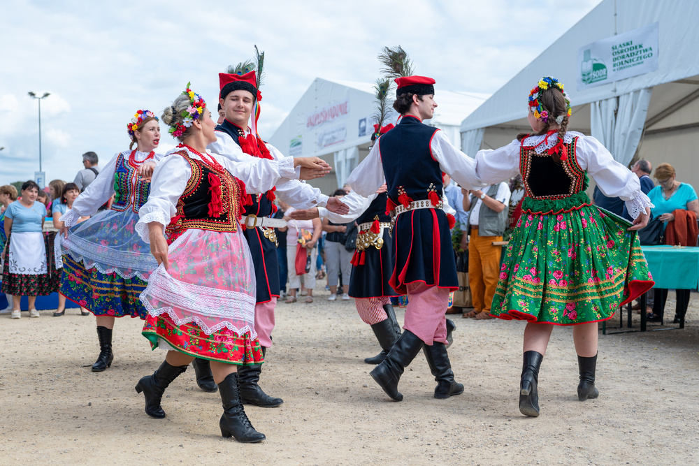 Fotorelacja z XXXII Krajowej Wystawy Rolniczej. Częstochowa, 2–3 września 2023. Fot.: IPN K. Łojko