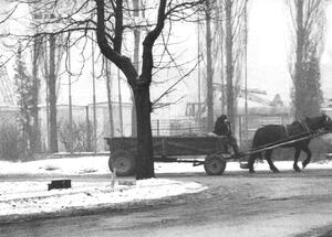 Przykładowe zdjęcie zrobione przez funkcjonariuszy pionu „B” z ukrycia. Dąbrowa Górnicza, okolice KWK „Generał Zawadzki”, 23 I 1982 r. (IPN Ka 435/1)