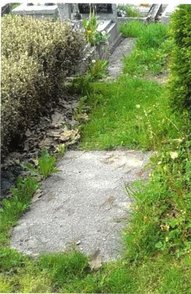 Grób Szczepana Zielonki (przed remontem).