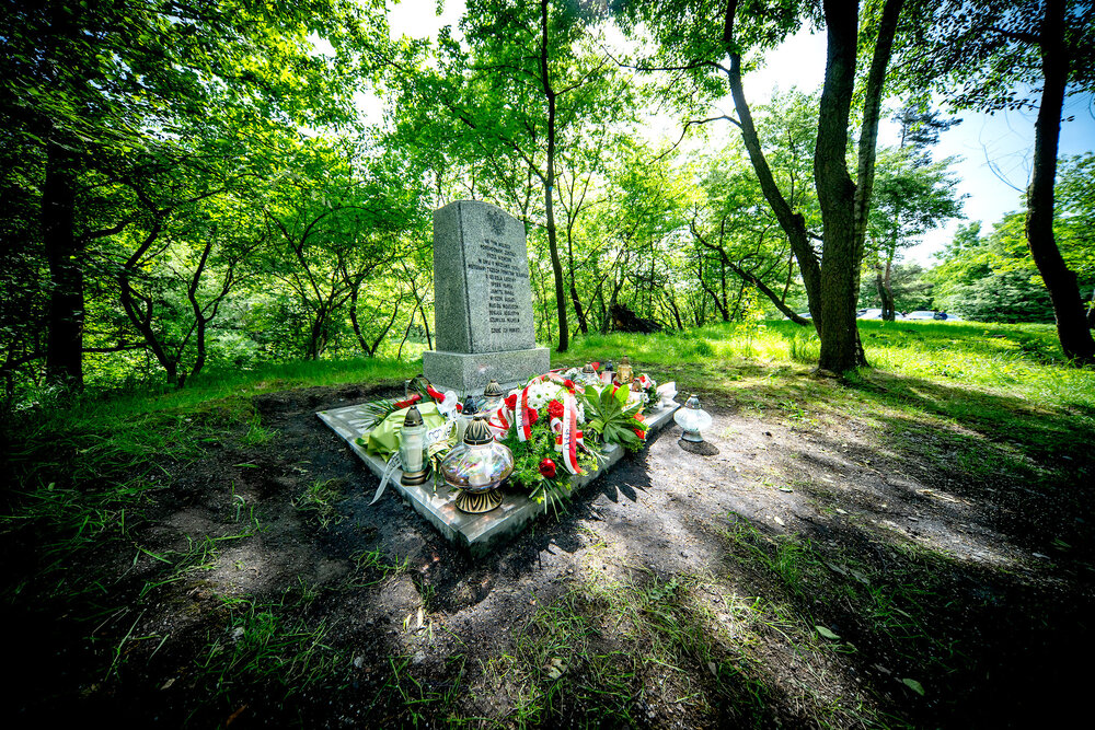 Uroczyste odsłonięcie pomnika upamiętniającego poległych w walce o wolność Śląska - Mysłowice, 10 maja 2024. Fot.: IPN K. Łojko