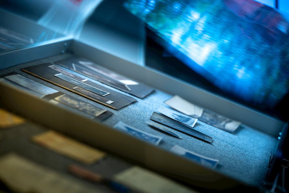 „Noc Muzeów” w Oddziałowym Archiwum IPN w Katowicach, 18 maja 2024. Fot.: IPN K. Łojko