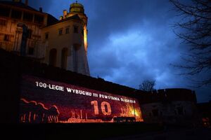 Pokaz wielkoformatowej animacji komputerowej na wawelskim murze w 100. rocznicę wybuchu III powstania śląskiego. Fot. Filip Musiał (IPN)
